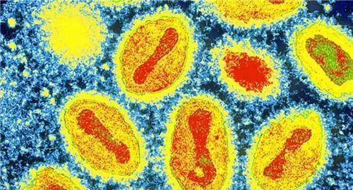 原创史上唯一被消除的传染病致5亿人死亡却被一英国骗子消灭