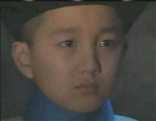 蔡远航在演艺方面展现出天赋,曾与陈道明合作,饰演了年幼的溥仪.