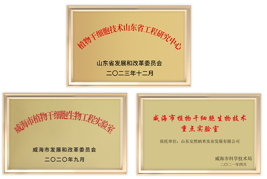 2014年,安然与哈尔滨工业大学合作,成立哈工大-安然纳米生命健康科学