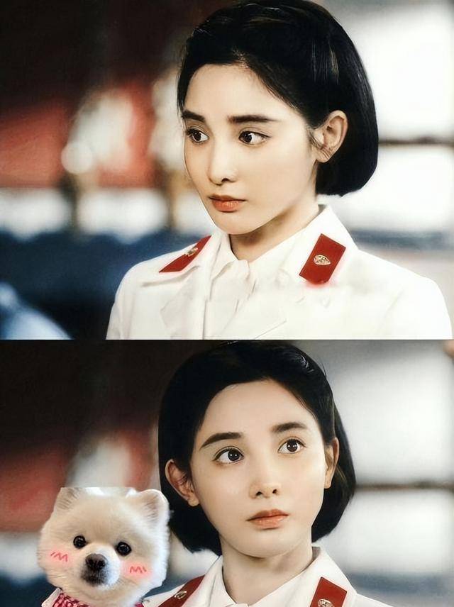 张艺谋的担心是对的当整容脸的风吹进央视连郑晓龙都翻车