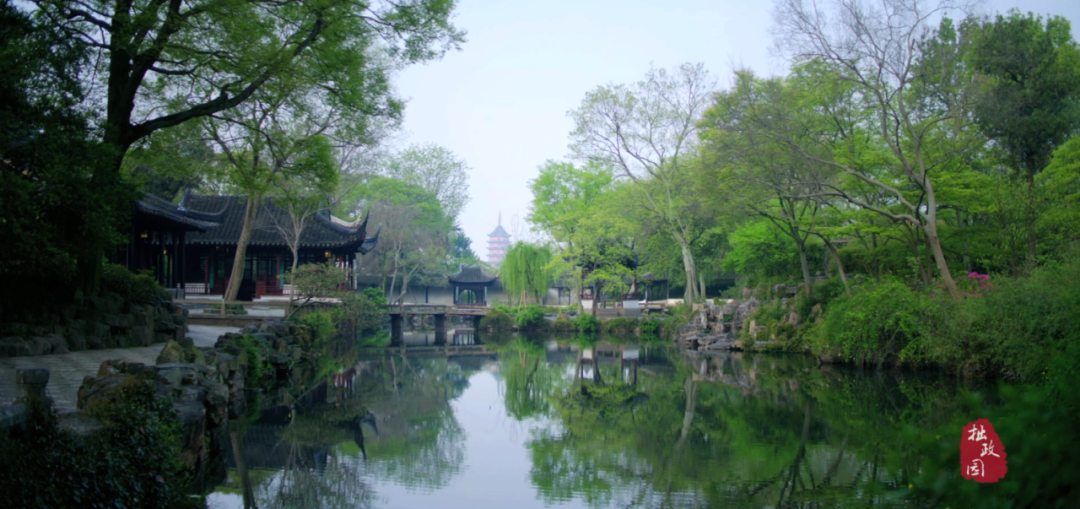 关于苏州拙政园的"水下森林"……_水体_园林_景观