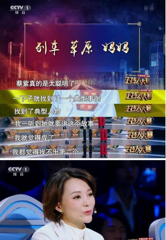 央视主持人大赛冠军却拒绝入职央视的蔡紫5年过去她现状如何