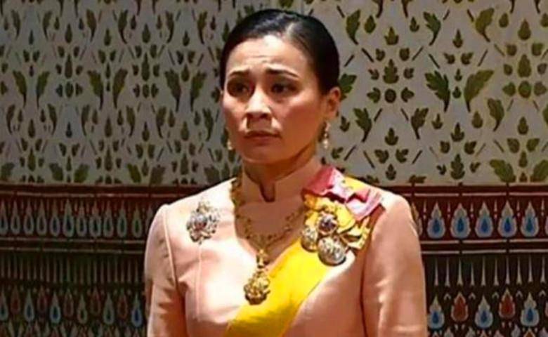 原创看了诗妮娜贵妃的遗书后国王问情为何物王后淡淡回答7个字