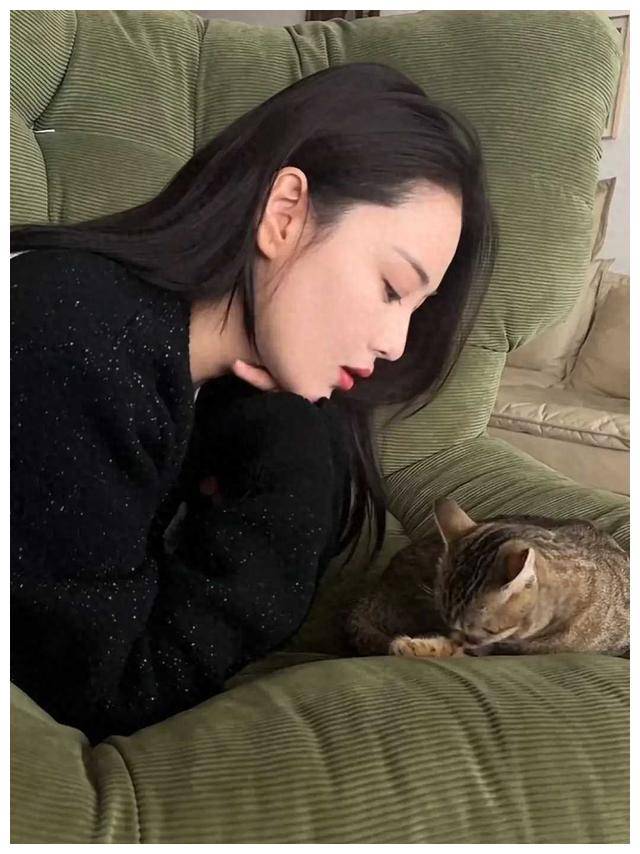 张馨予现身婚房晒猫内景古典大气何捷低调露高鼻