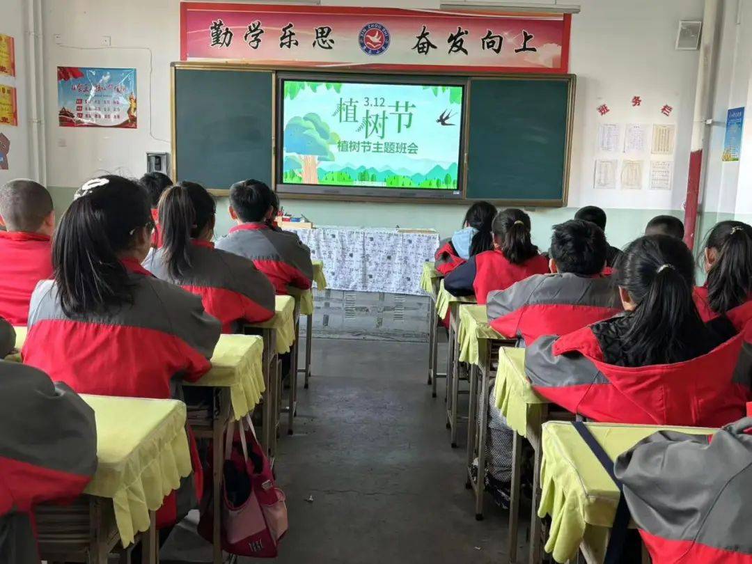 忻州市康乐小学组织开展312植树节主题班会