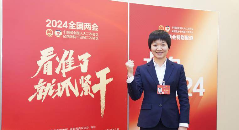 原创两会上的小燕子又美又飒