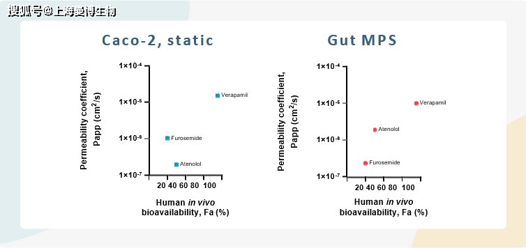 讨论使用physiomimix单器官系统培养肠道mps,及其功能特征和形态与