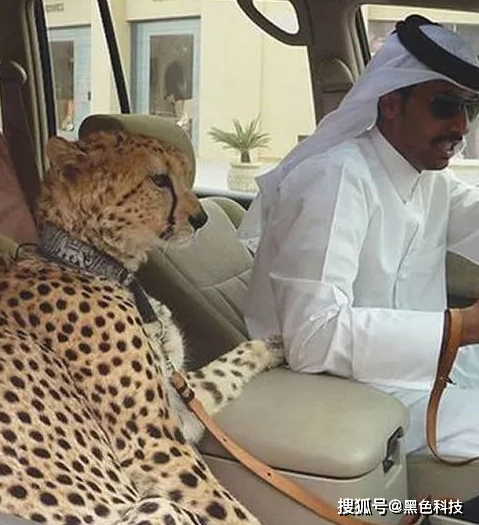 原创这就是迪拜有钱人的真实生活来看看有多疯狂