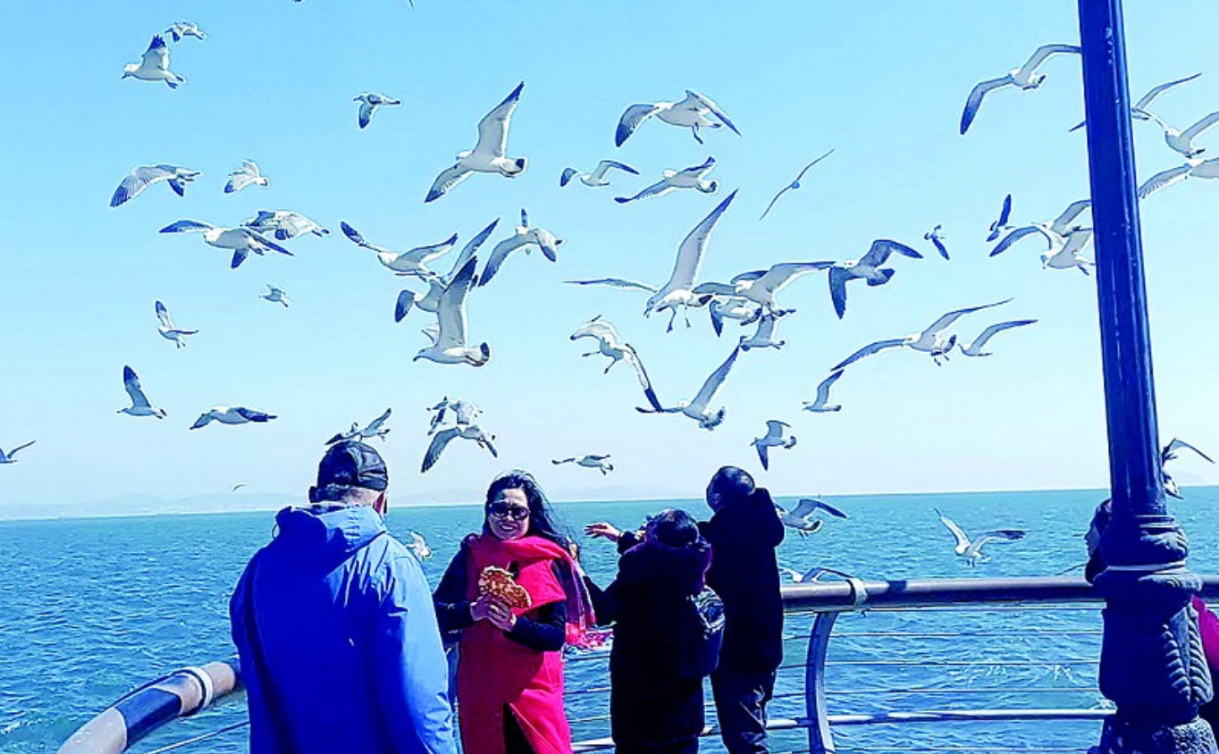 看海鸥嬉戏享解压疗愈_人们_游客_海面