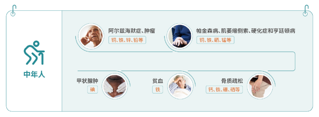 没有铁就不能合成血红蛋白,氧就无法输送,组织细胞就不能进行新陈代谢