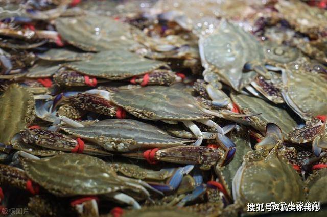 只是价格也贵了不少,尤其是今年的梭子蟹,六七十块钱一斤,只能是偶尔