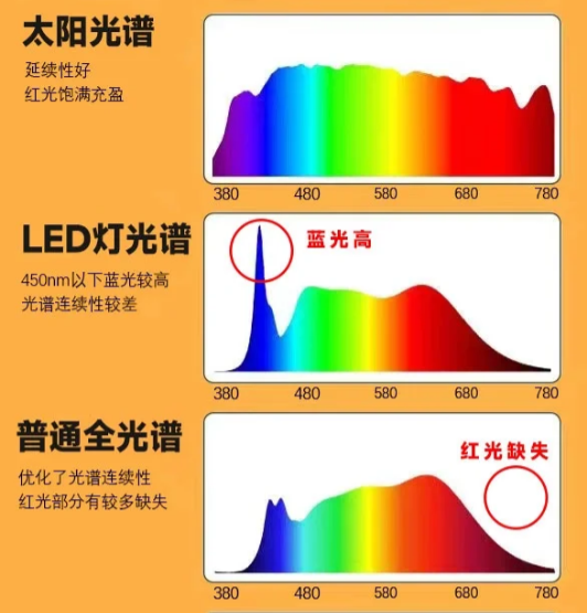 台灯