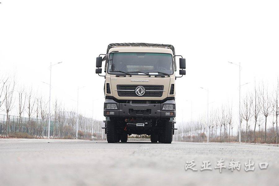 东风八驱8x8全驱大马力重型仓栅运输车越野专用车_搜狐汽车_搜狐网