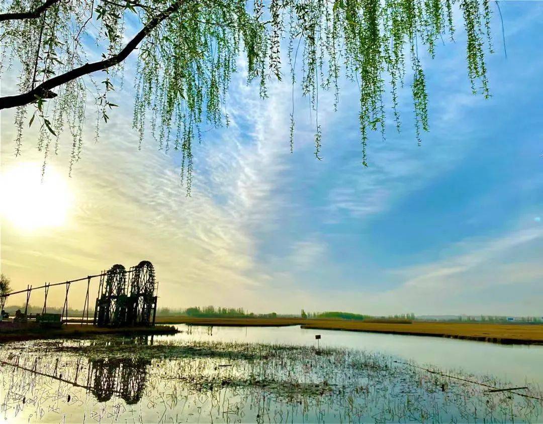 春风又拂芦苇荡,银川鸣翠湿地游船今春首航_游湖_鸣翠湖_码头