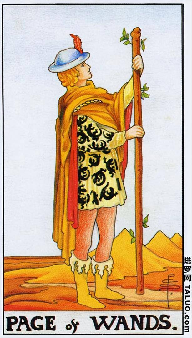 原创塔罗占卜权杖10权杖侍从权杖骑士