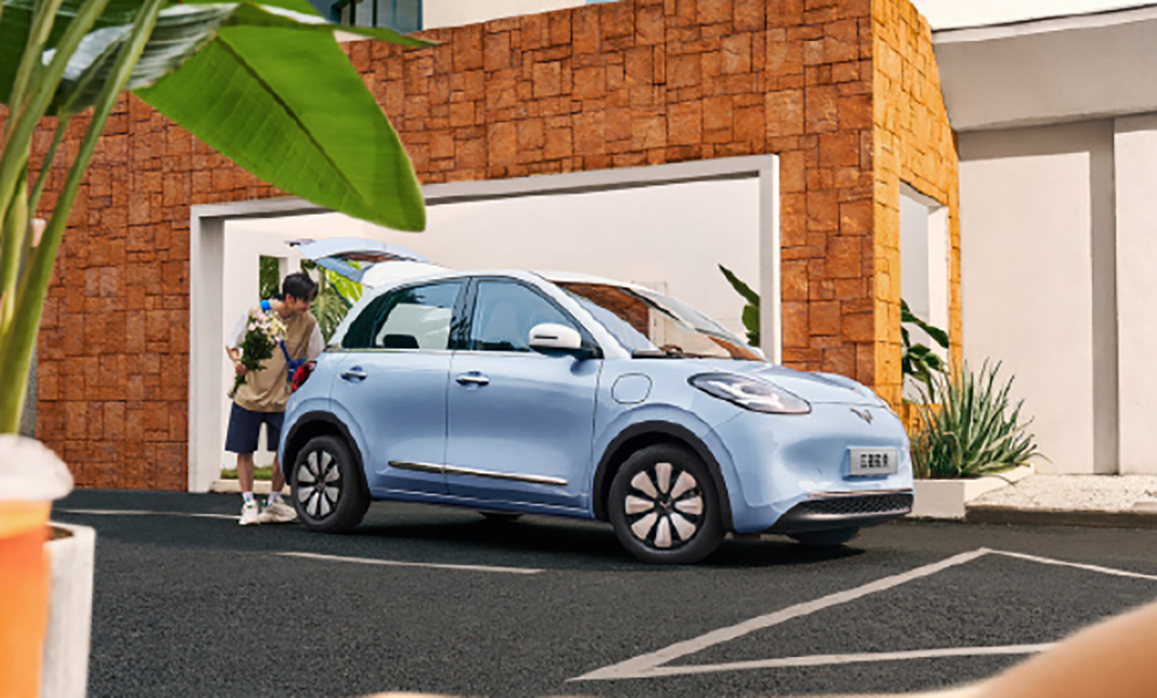 选购小型两厢车该选燃油车还是电动车,polo,飞度过时了吗?