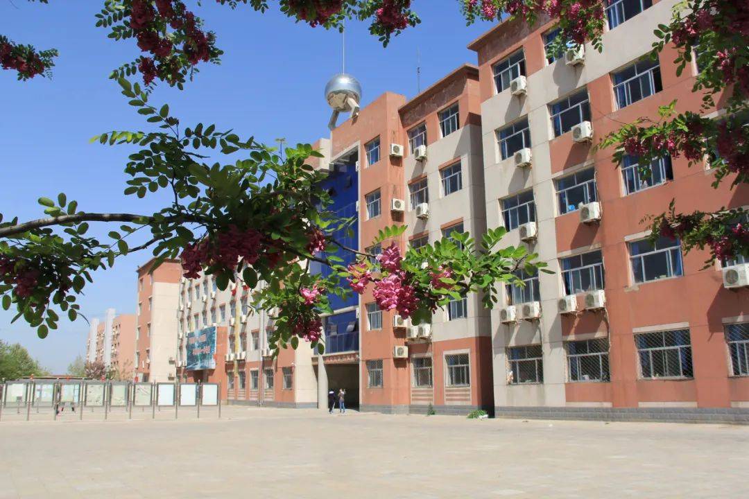 衡水市郑口中学学子心声植树与树人