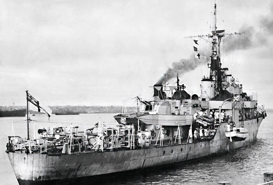 紫石英号巡洋舰图片