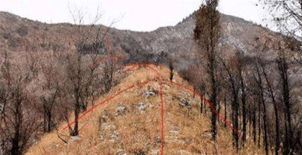 而在所有蛇复仇的故事中,湖北地区"利川蛇墓"的故事无疑是真实性最高