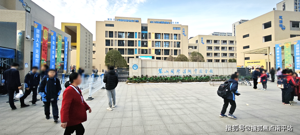 洋湖的学校基本都是雅礼,长郡双语,麓山国际,博才等优质学府,整体实力
