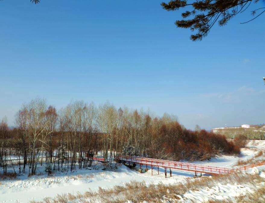 阿木尔林业局国家湿地公园成为拓宽生态产品价值转换的新名片