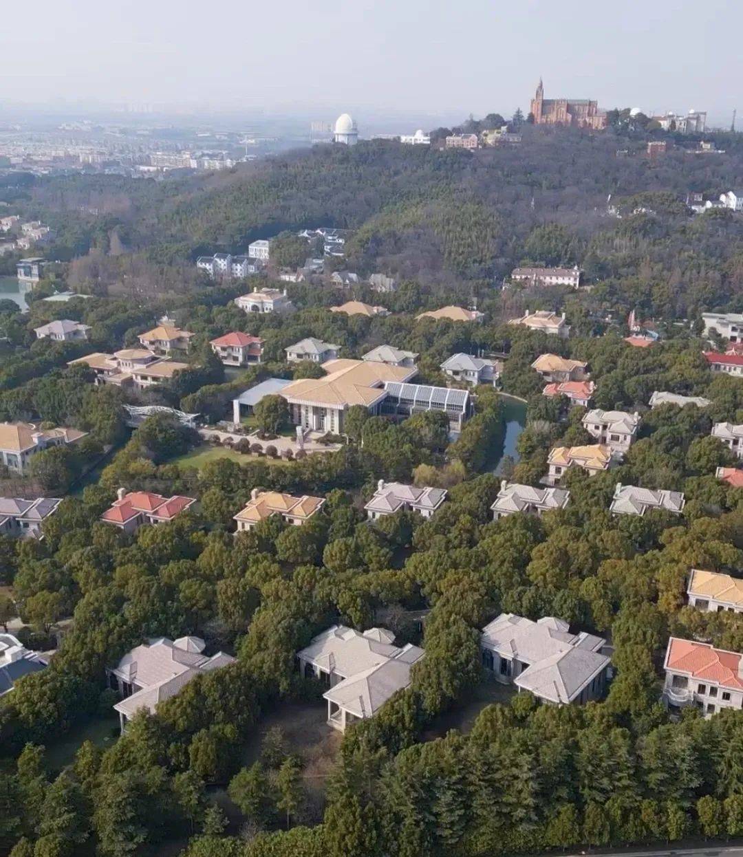 上海晶园上海紫都上海晶园楼盘详情紫都上海晶园房价户型交通区域规划