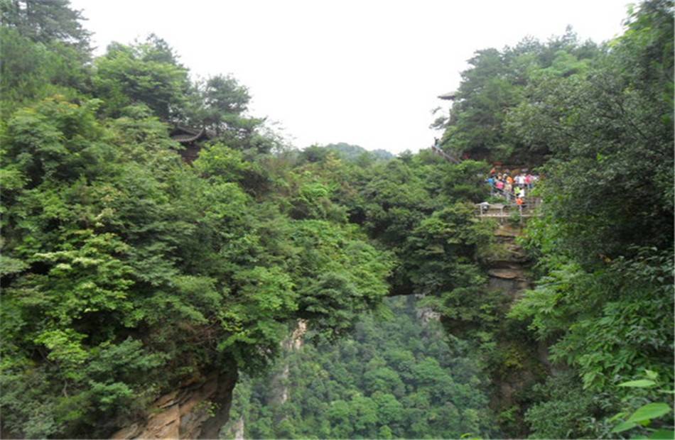 多少钱,到张家界六日游靠谱旅行社驴友推荐,省钱省心_天门_玻璃_旅游