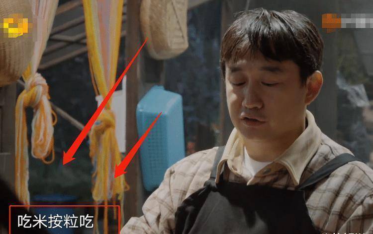 《向往5》家徒四壁,黄磊表示吃米都要按粒算,想不瘦都难了