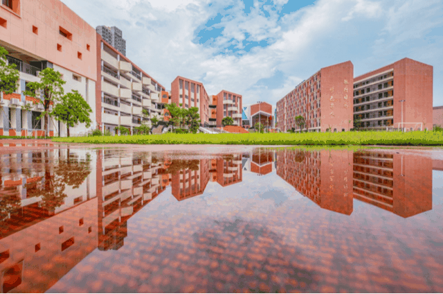 教育看南海,南海教育看桂城",这些年,桂城公办新校如雨后春笋般崛起
