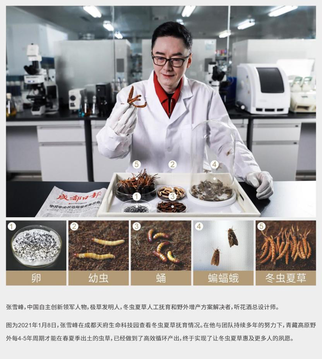 被315点名的听花酒背后有个神奇的故事