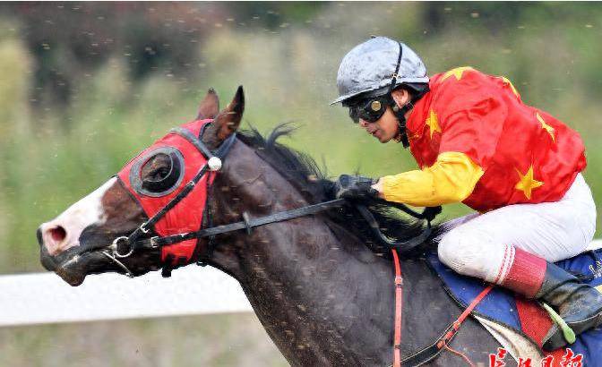 原创免费预约门票我们速度赛马大奖赛周日在汉开跑