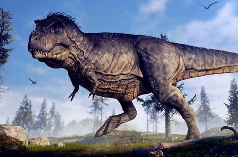 原创最强的恐龙是什么龙最厉害的恐龙第一名你猜到了吗