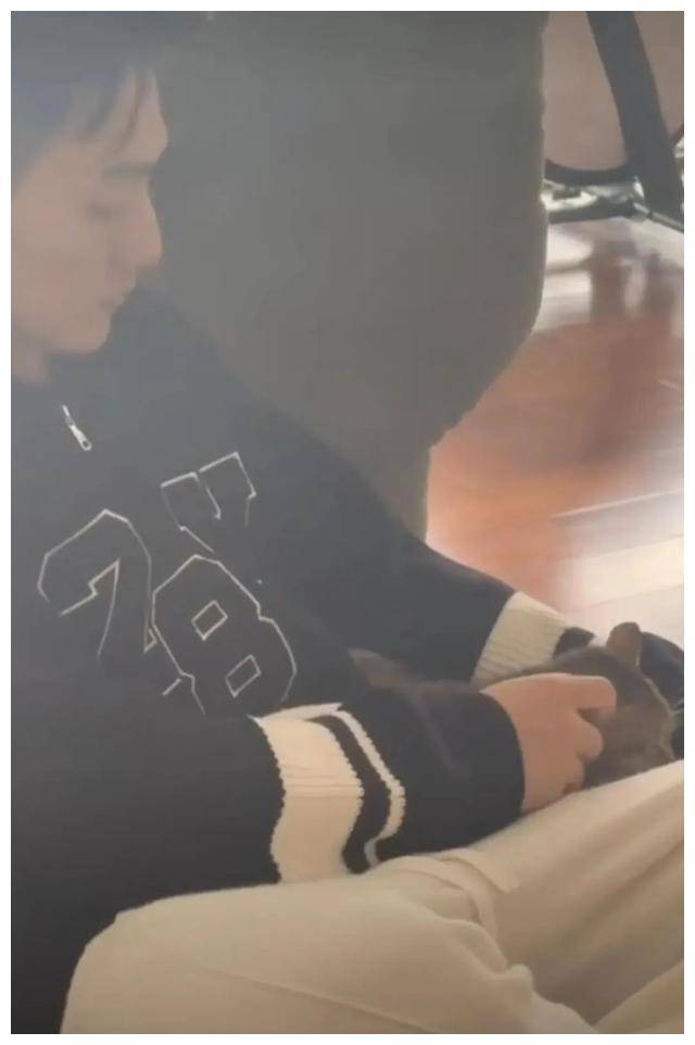 原创36岁军官老公带猫迎客张馨予晒别墅生活恩爱新房人羡慕