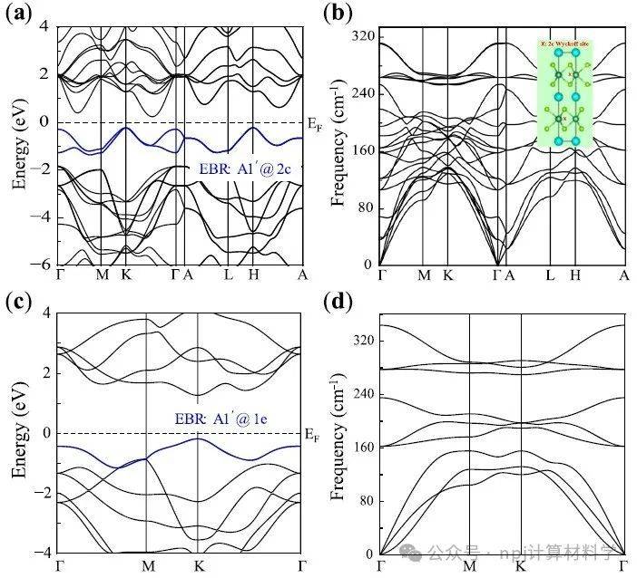 博士生盛昊昊等人,通过第一性原理,能带表示理论分析以及电声耦合计算