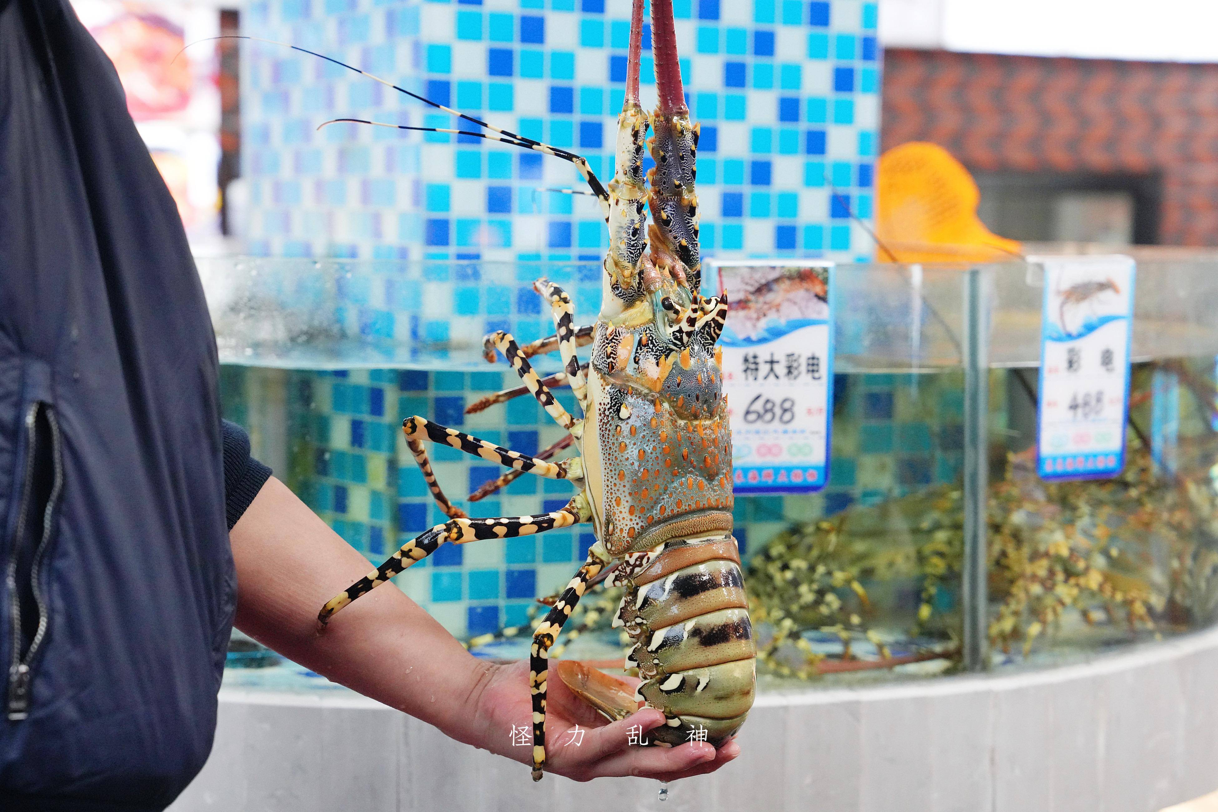 厦门本地人吃海鲜嘴更挑这家店来了还想来