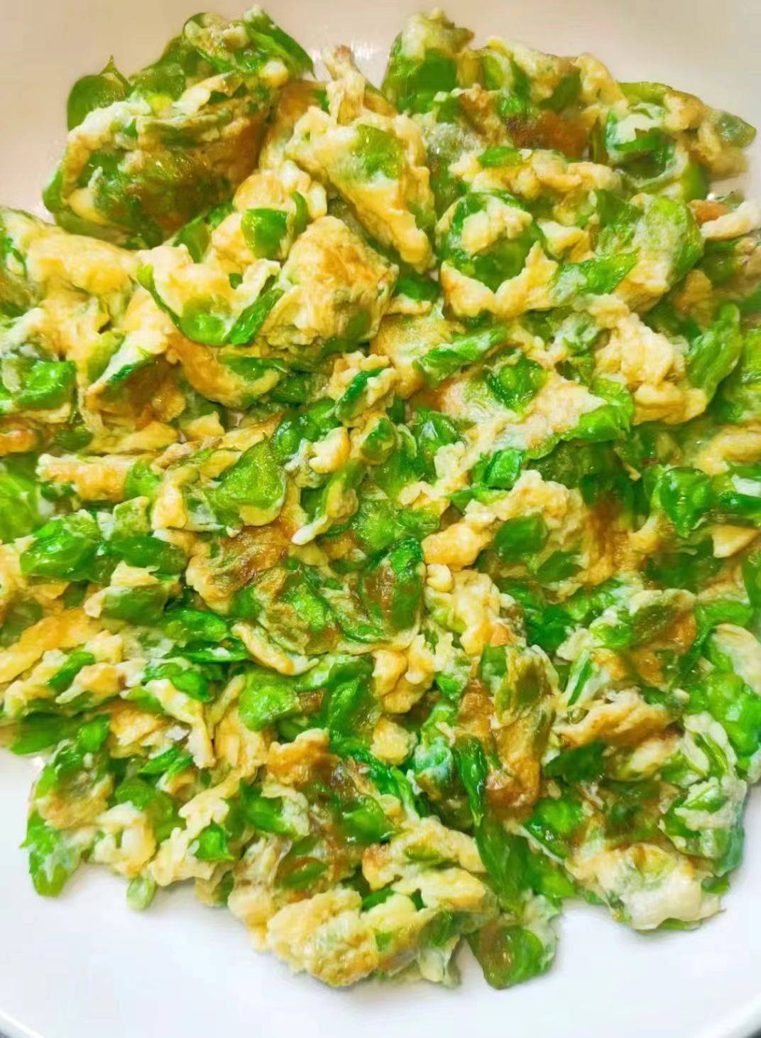 清明前后,"树上4宝"正当季,有钱没钱都要吃,错过就要等明年_备用_榆钱