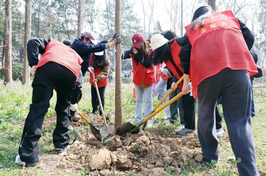 大学生植树节浇水图片图片