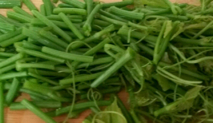 但是它跟南瓜外有着非常大的区别,就是他可以接触一种果实,就像佛手