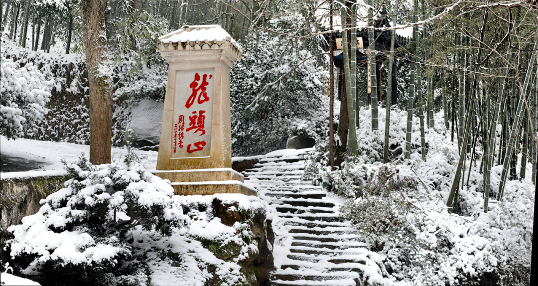 春季适合踏青的几个地方你去过几个