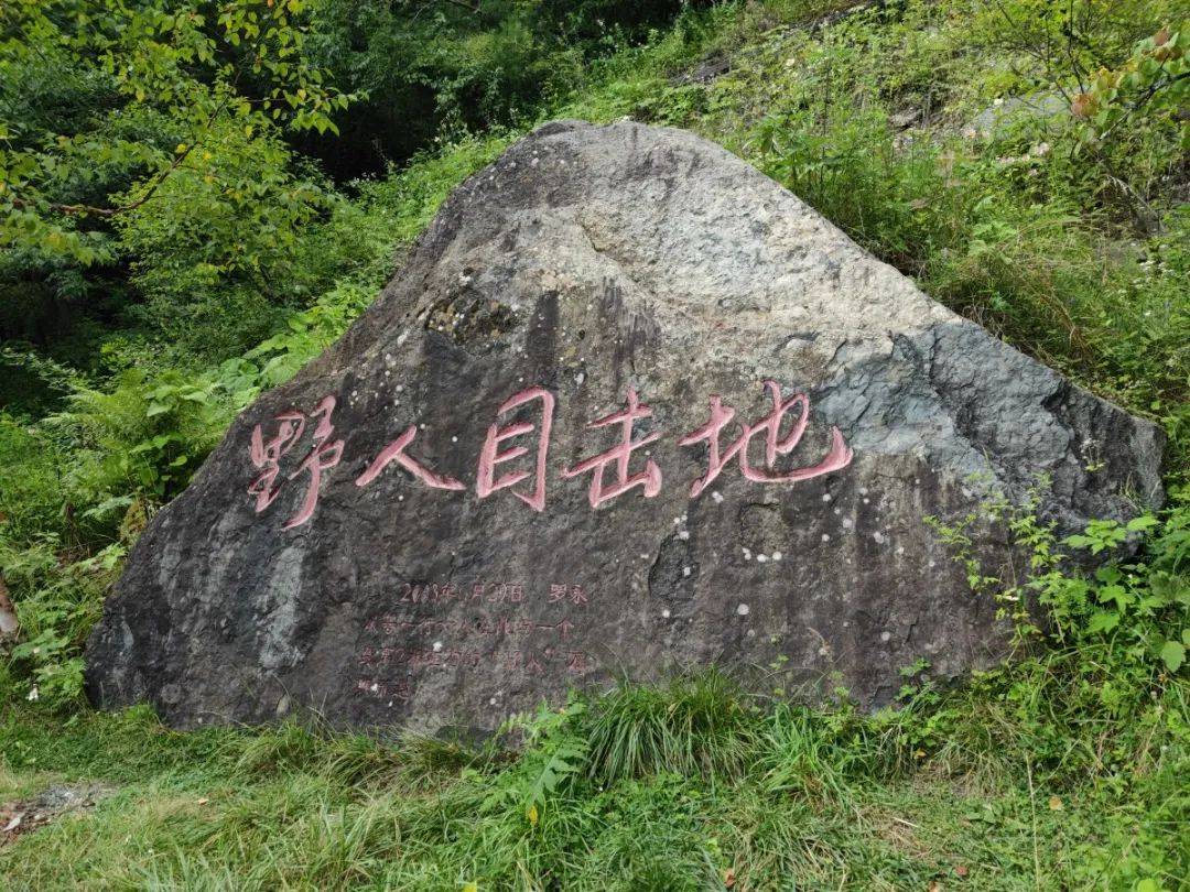 原创神农架禁区的谜团除了野人还有哪三个未解之谜