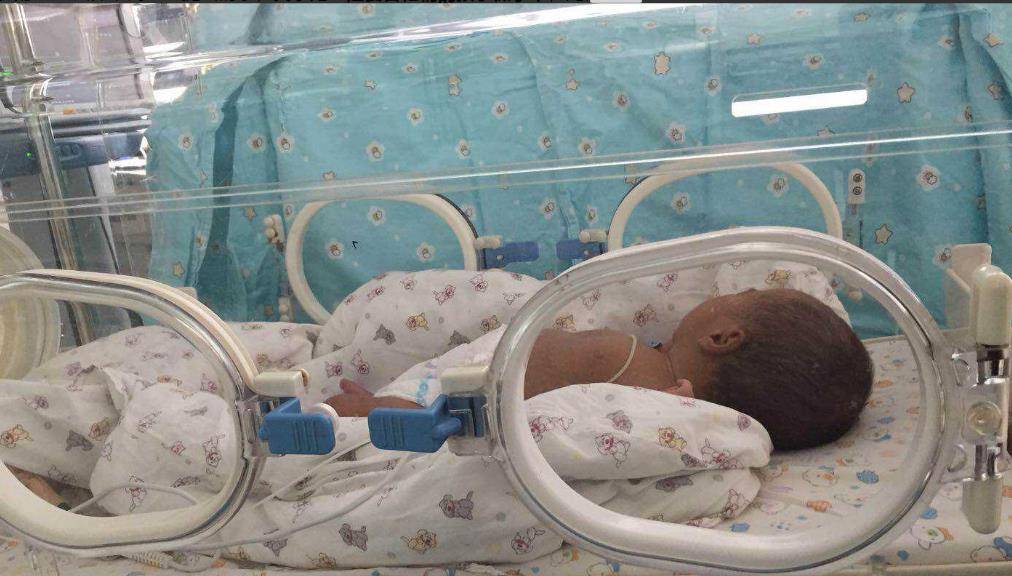 原创2002年河北女子冒死生下五胞胎如今却后悔当初我真应该打掉