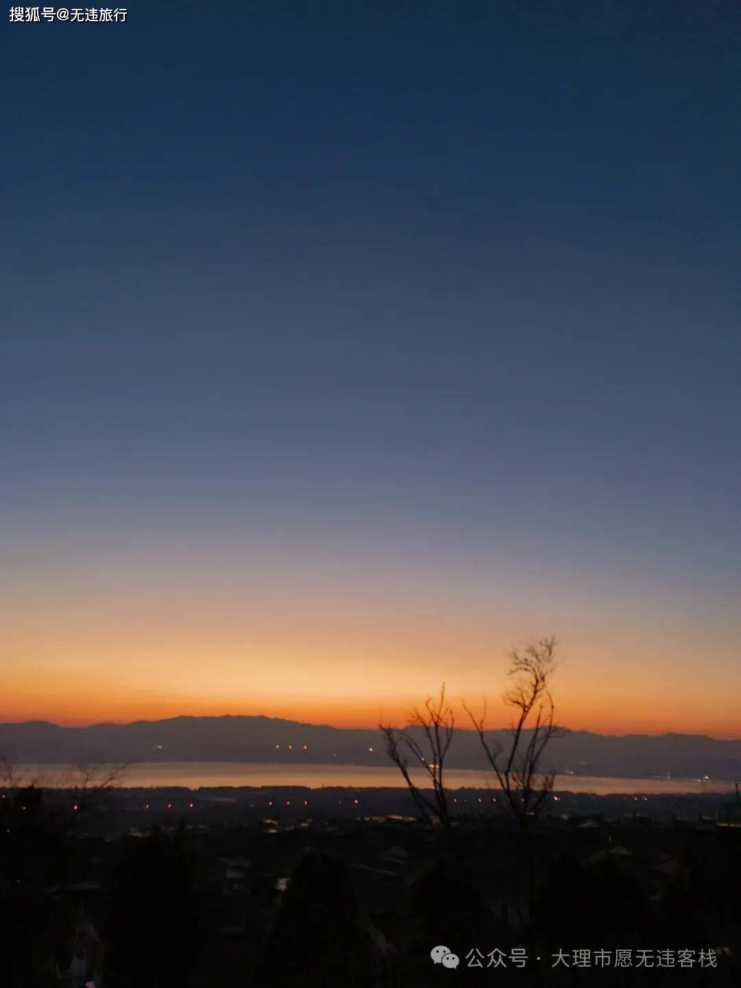 原创大理大学樱花错过开放日赏花看过来值得转发收藏