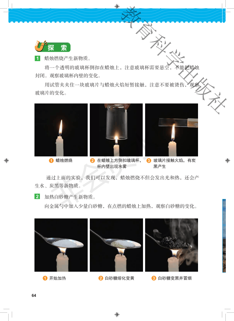 新领程六年级下册科学图片