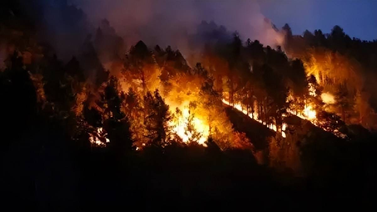 人员_扑救_山火