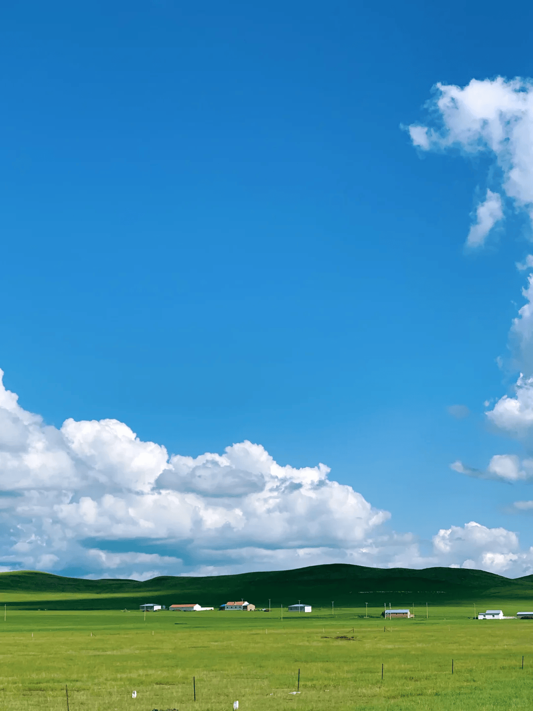 内蒙古5日包团旅游多少钱?内蒙跟团旅游攻略,必收藏!_