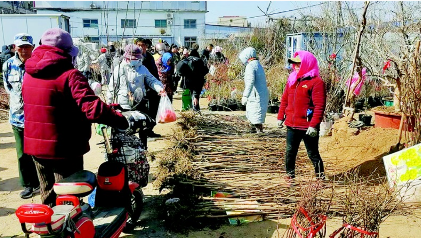 营城子大集上周日人气火爆