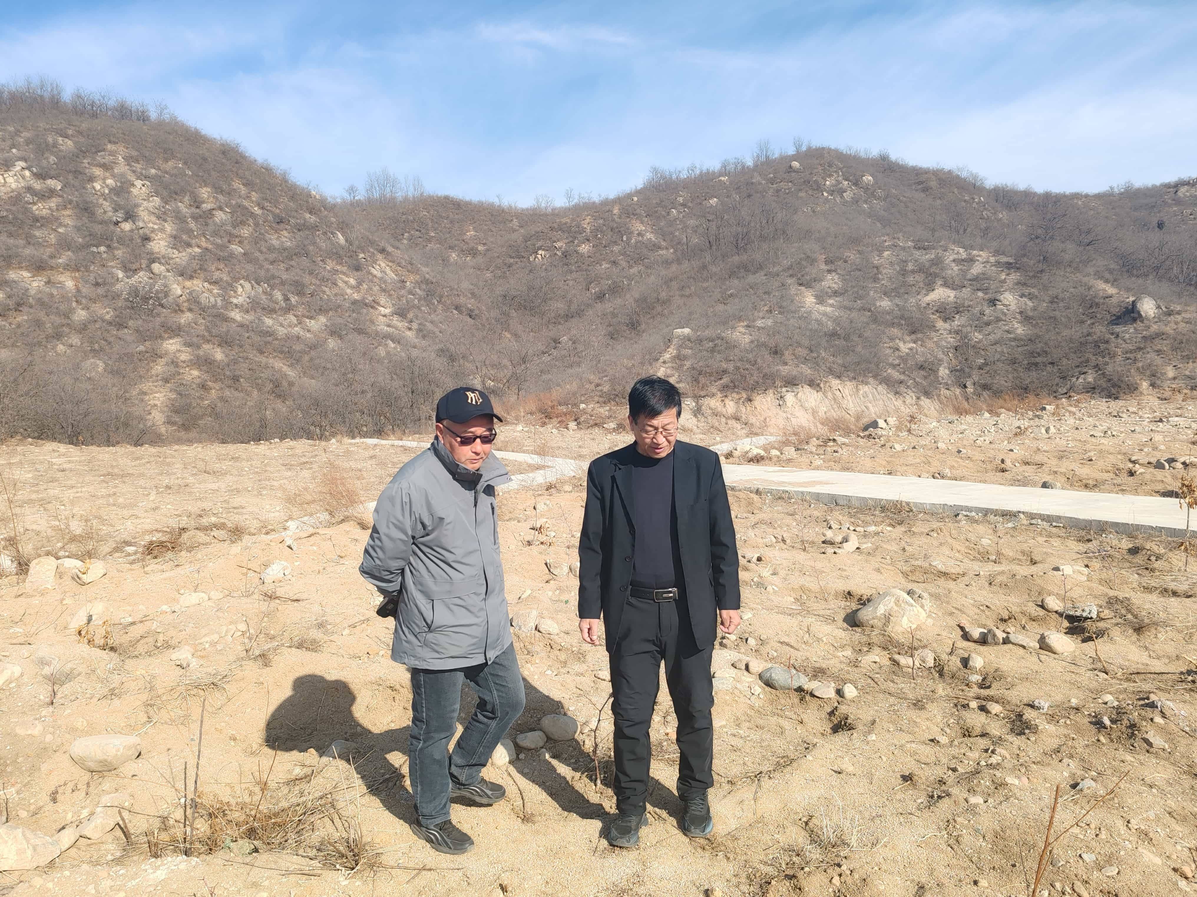 河北保定阜平县菜池村种下小酸枣培育致富果