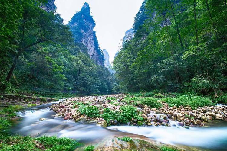 带家人去张家界五天大概多少钱,金鞭溪5天旅游费用总结_景点_小雅_大