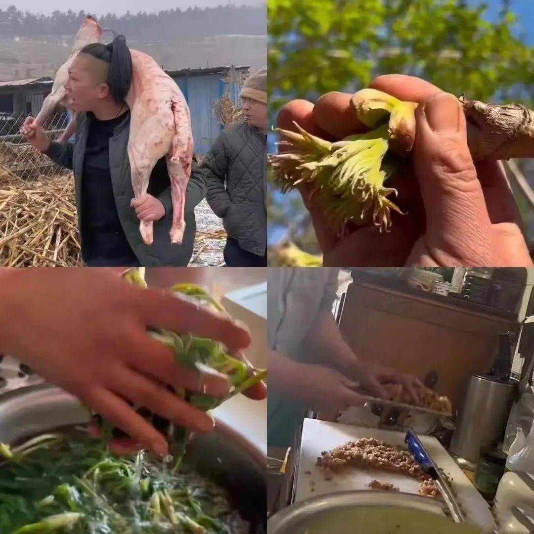 战狼版李子柒怒涨2200万粉东北雨姐让男人自愧不如