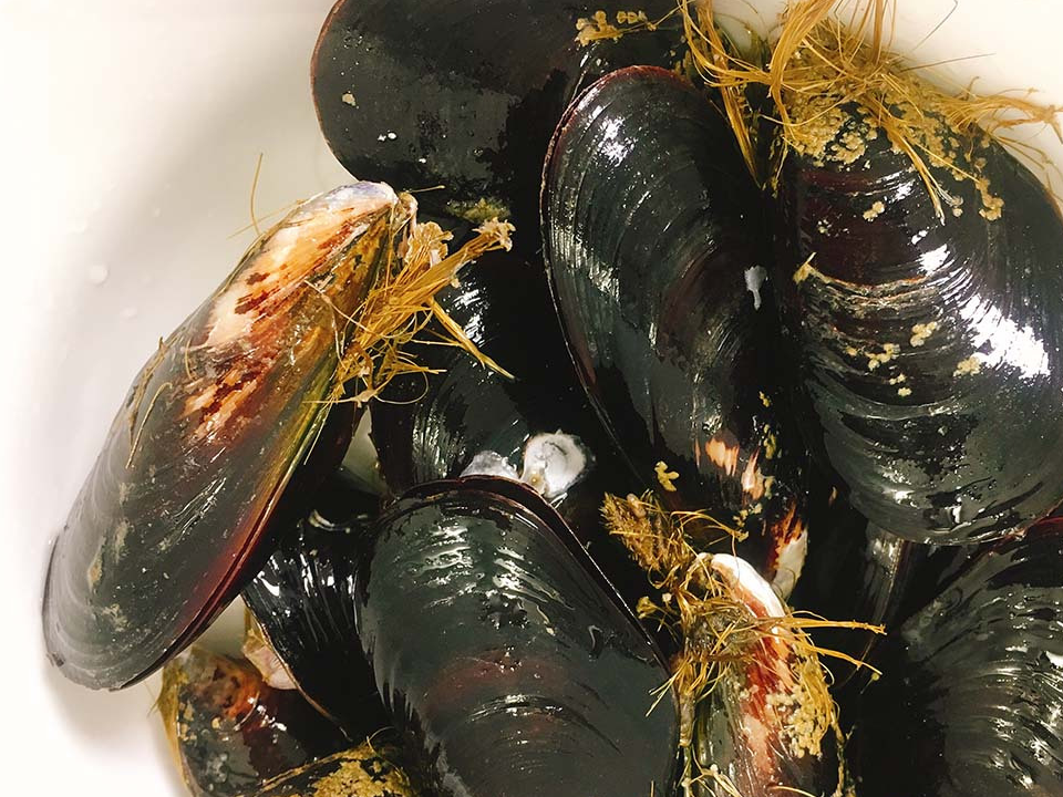 它被誉为"海中鸡蛋",3元一斤,比鱼虾营养高,要多煮给孩子吃_贻贝_清淡